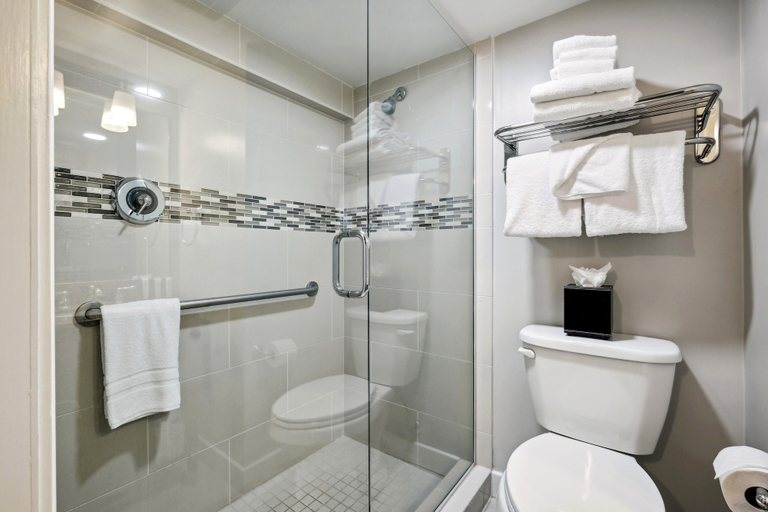 Bathroom 5, French Market Inn, Orleans