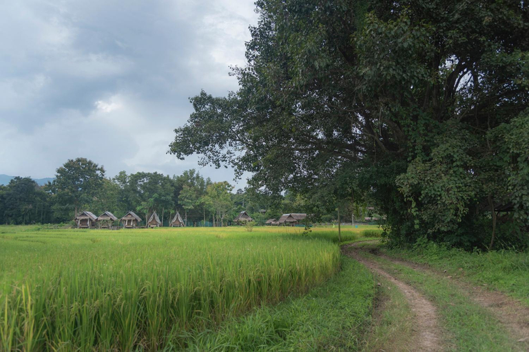 Others 4, Paddy Fields Haven - Natures Nest, Pai
