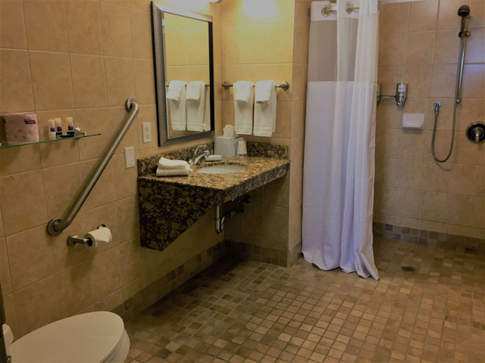 Bathroom 4, Best Western Plus Walkerton Hotel & Conference Cen, Bruce