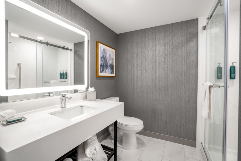 Bathroom 5, DoubleTree by Hilton Sioux City, Woodbury