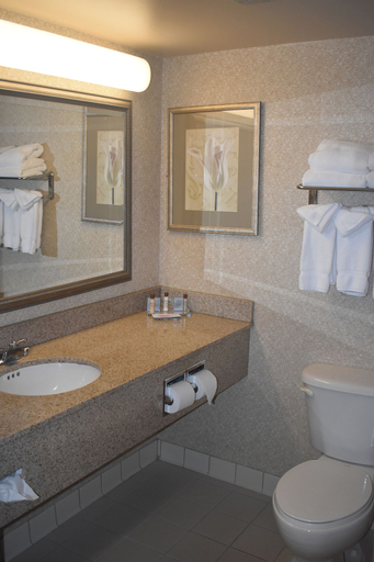 Bathroom 2, Wingate By Wyndham Charlotte Airport, Mecklenburg
