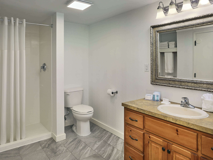Bathroom 4, Hampton Inn Gatlinburg, Sevier