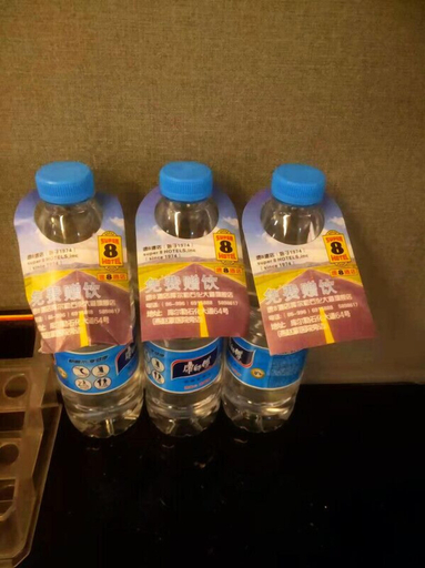 Food & Drinks 5, Korla Xin Lv Super 8 Hotel, Bayin'gholin Mongol