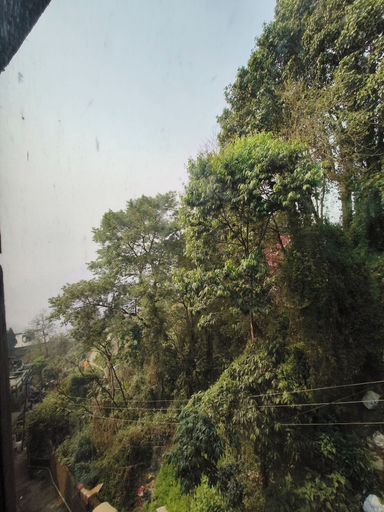 Others 2, Hotel Sakura Darjeeling, Darjiling