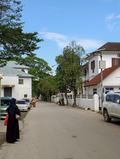 Others 4, Zanzibar Vintage House, Mjini