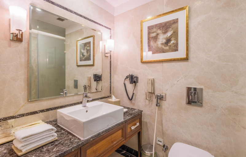 Bathroom 4, Sayaji Kolhapur, Kolhapur
