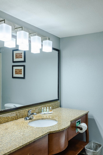 Bathroom 4, Quality Inn Olive Branch - Memphis South, Desoto