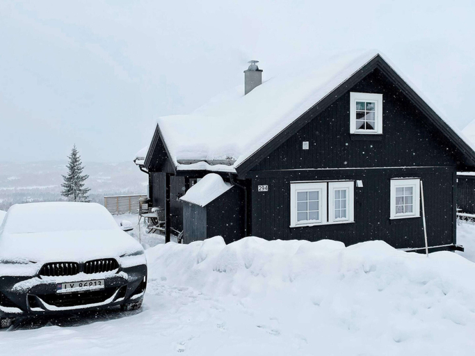 Exterior 2, 4 Star Holiday Home in Rauland, Vinje