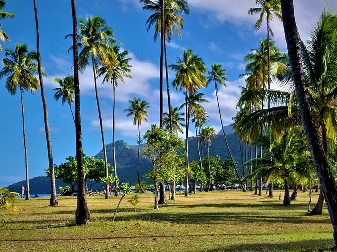Room 5, Moorea - O Motu in Temae