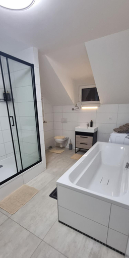 Bathroom 3, Big House, Plessur