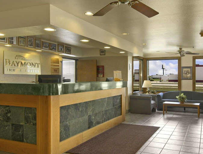 Public Area 2, Baymont by Wyndham Tuscola, Douglas