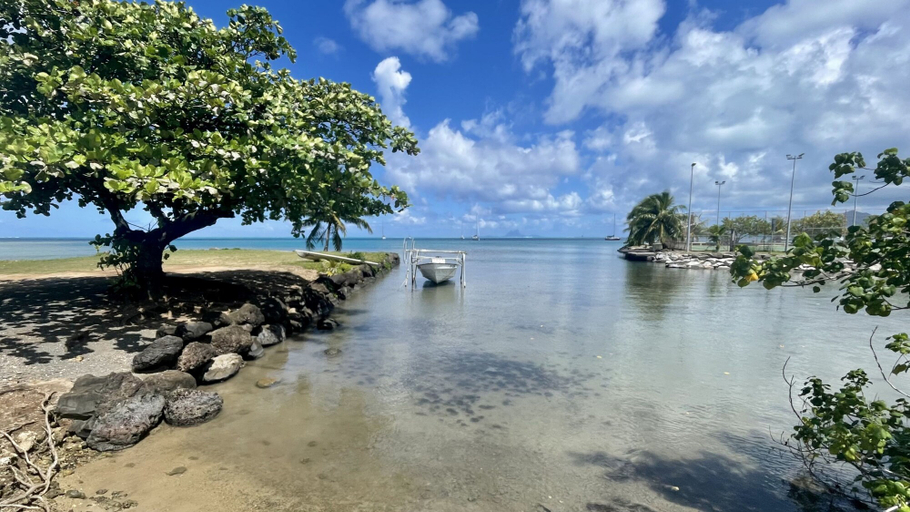 Room 5, Raiatea - Orion Pool Bungalow