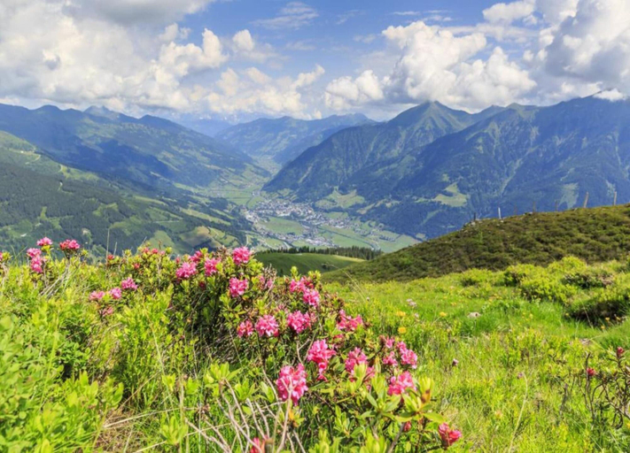 View from property 5, Chalet in Wagrain on Ski Slopes, Sankt Johann im Pongau
