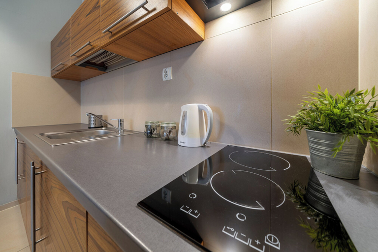 Others 5, RentPlanet - Apartamenty Brzozowa, Tatra