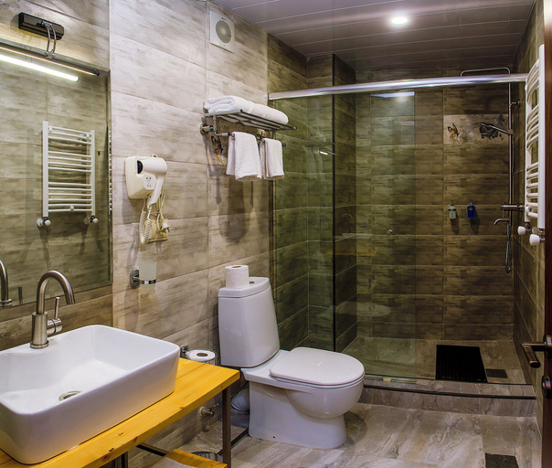 Bathroom 3, Hotel Resolute, Ozurgeti