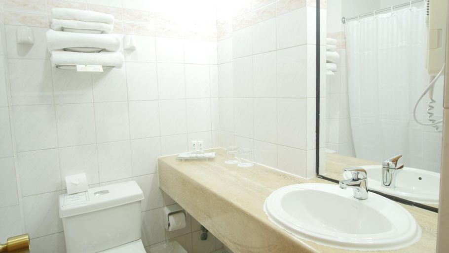 Bathroom 4, Diego De Almagro Santiago Centro, Santiago