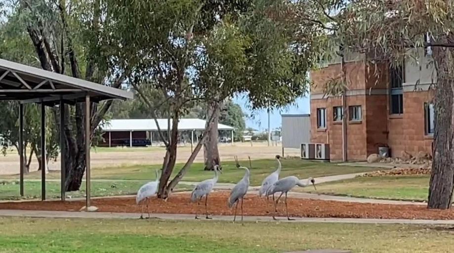 Others 2, Longreach Station Accommodation, Longreach
