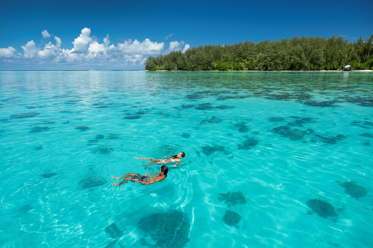 Room 5, Moorea - The ZEN Den spa