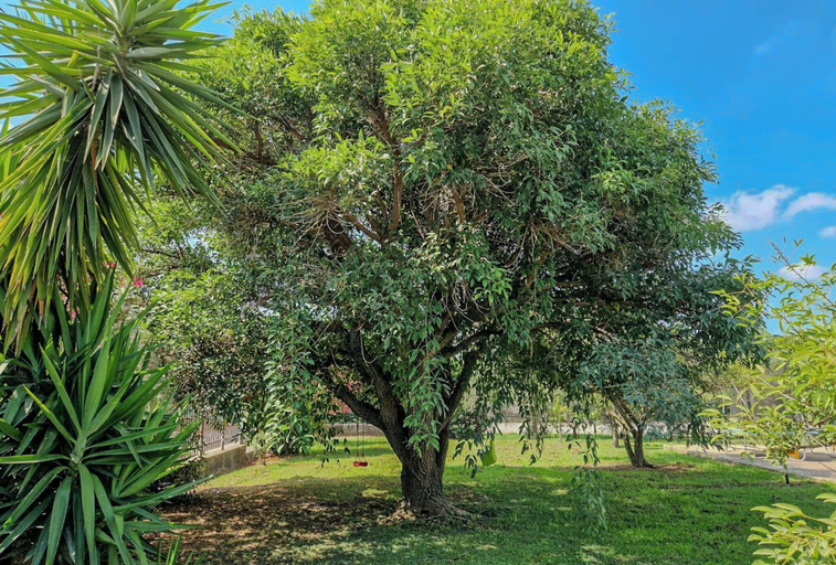 Others 3, Villa il Profumo degli Aranci, Salerno