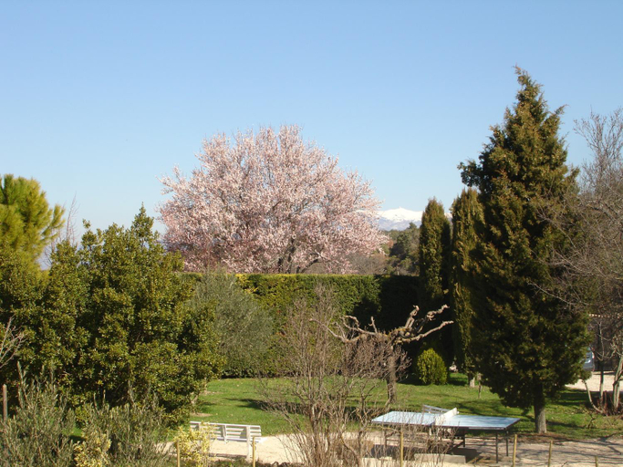 Others 3, Domaine De La Grange Neuve, Vaucluse