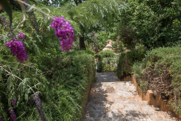 Others 5, Family Getaway in Marathon by GHH, Attica