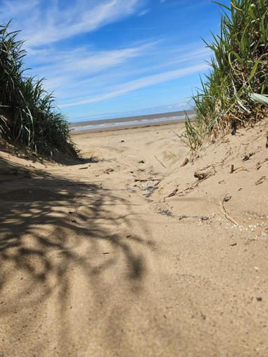 Surrounding environment 3, Beachside Holiday Park, Somerset