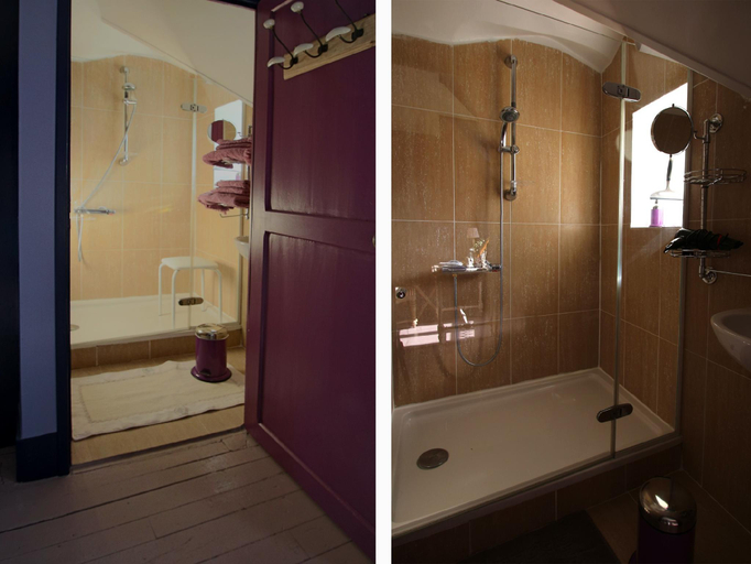 Bathroom 3, La mare aux bambous, Loir-et-Cher