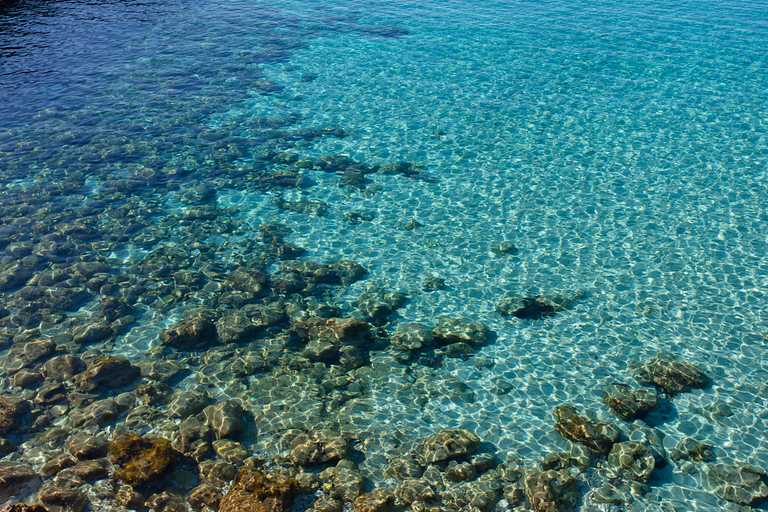 Others 5, Cala Morlanda Estudios, Baleares