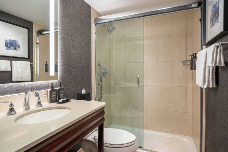 Bathroom 4, Sheraton Cavalier Saskatoon Hotel, Division No. 11