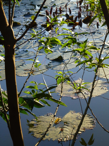 Others 5, Tam Coc Coconut Garden, Hoa Lư