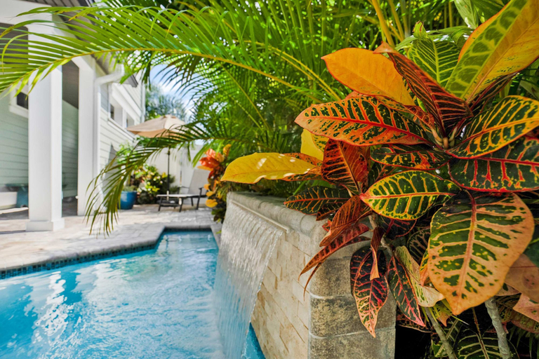 Room 4, Plunge Pool Pack N Play BBQ Walk Downtown, Saint Johns