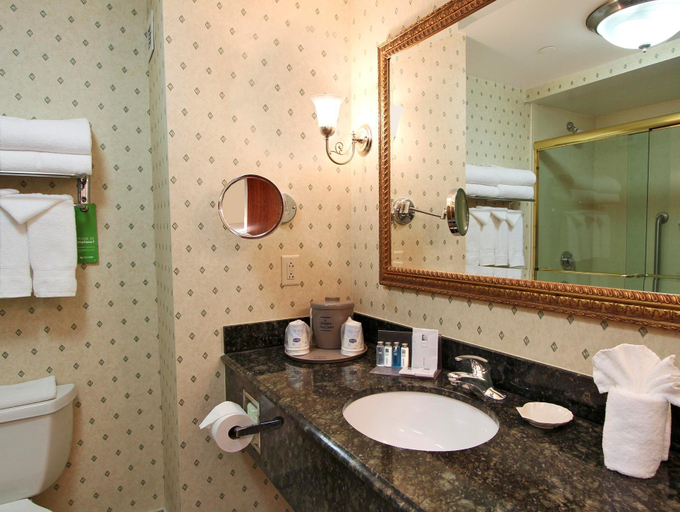 Bathroom 4, Hampton Inn & Suites Rockville Centre, Nassau