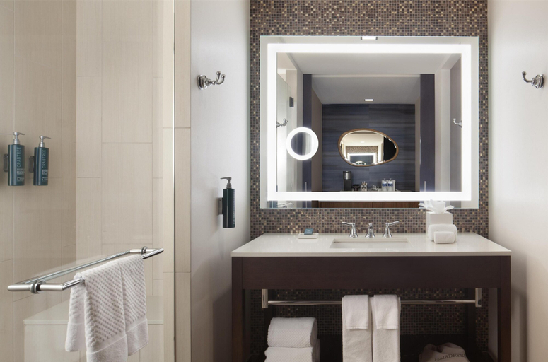 Bathroom 5, Hilton Dallas/Plano Granite Park, Collin