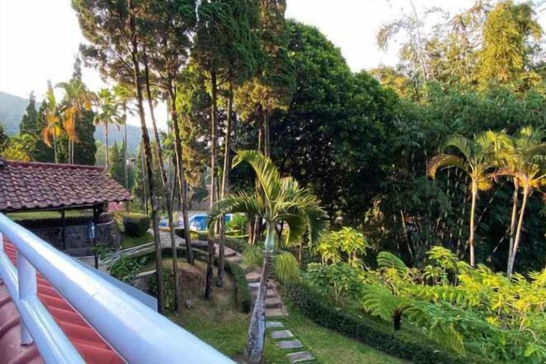 Scenery 9