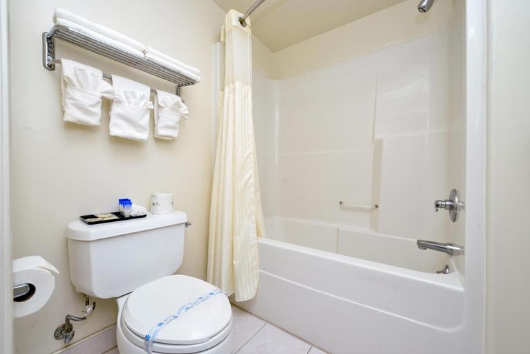 Bathroom 4, Americas Best Value Inn Sky Ranch, Santa Clara