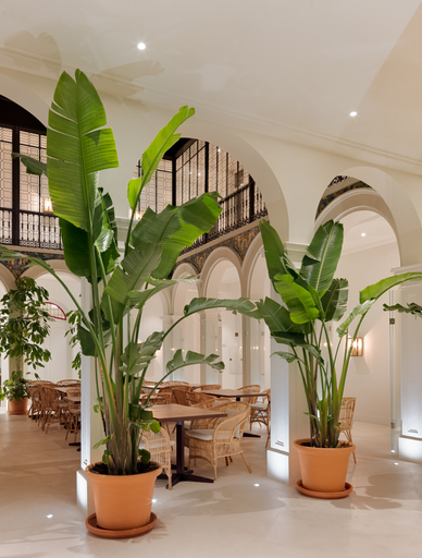 Public Area 4, H10 Palacio Colomera, Córdoba