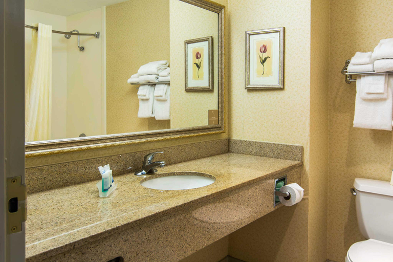 Bathroom, Sleep Inn Lexington, Fayette