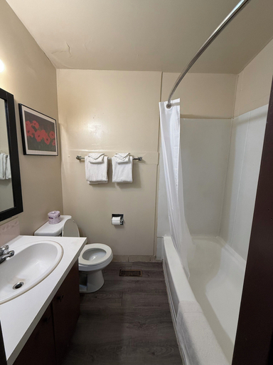 Bathroom 4, Thriftlodge Edmonton, Division No. 11
