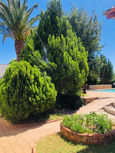 Others 2, Thuba Kobo Segole Guesthouse, John Taolo Gaetsewe