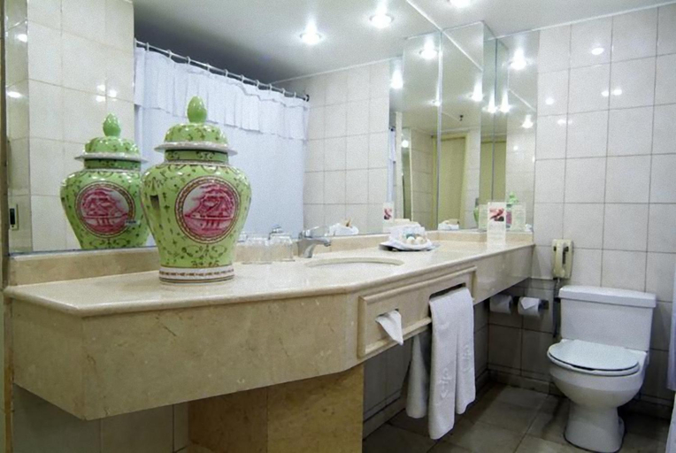 Bathroom 5, Park Plaza Santiago, Santiago