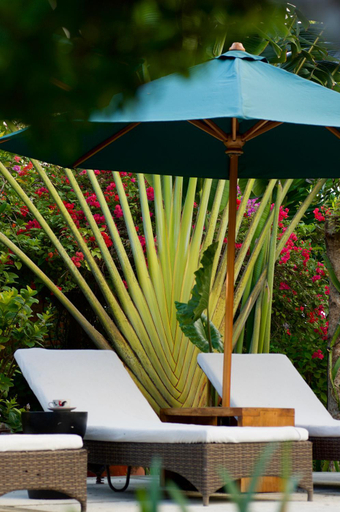 Others 4, Owa Lodge Areguling, Lombok
