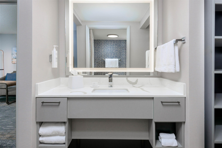 Bathroom 4, Homewood Suites by Hilton® Orlando-UCF Area, Orange