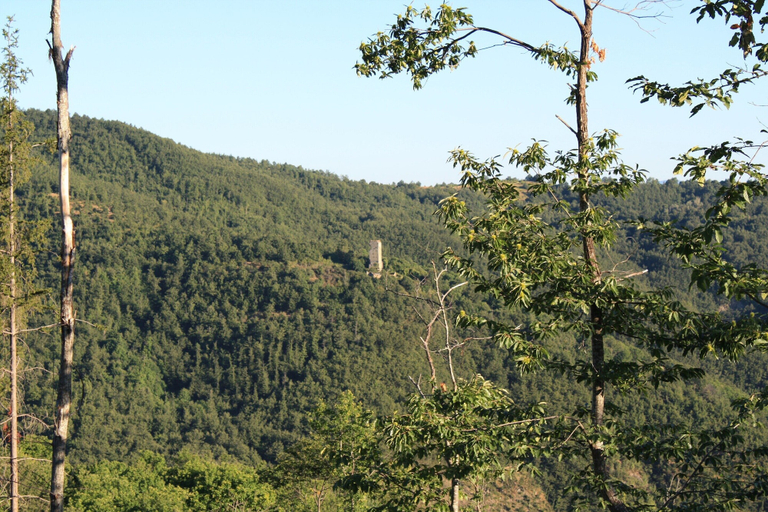 View from property 2, Farmhouse With Stables, Horses and the Ability to Make Horseback Riding, Perugia