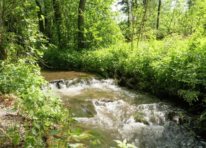 View from property 3, Luxury Gite With Sauna in Baugnez/malmedy, Liège