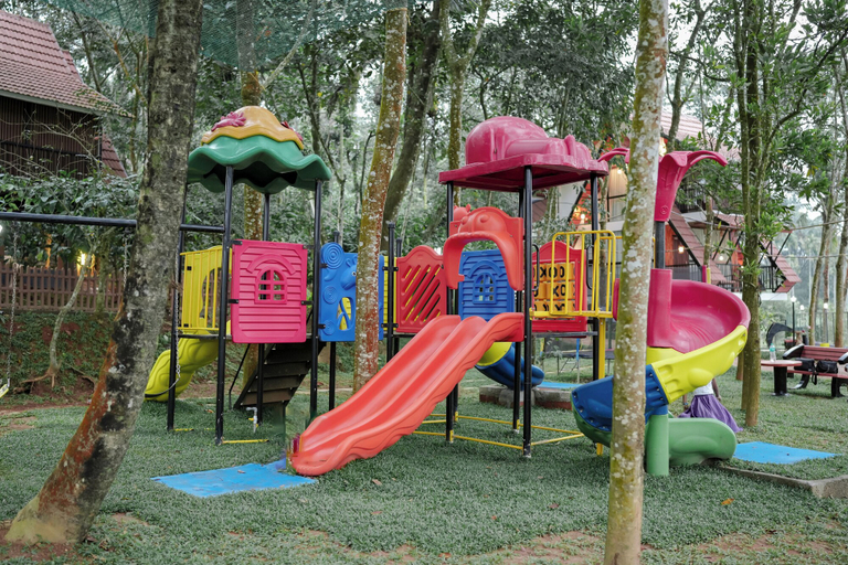 Family & Kids, Wayanad Vista Palm View Homes, Wayanad