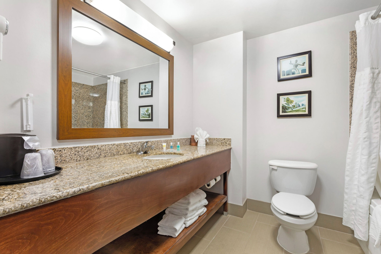 Bathroom 4, Comfort Suites DFW North/Grapevine, Tarrant
