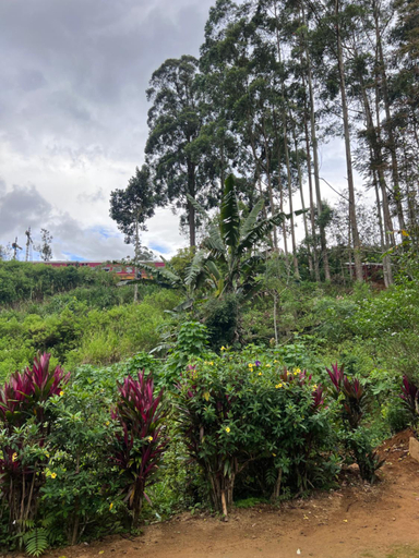 Others 4, Pekoe villa Watagoda, Nuwara Eliya