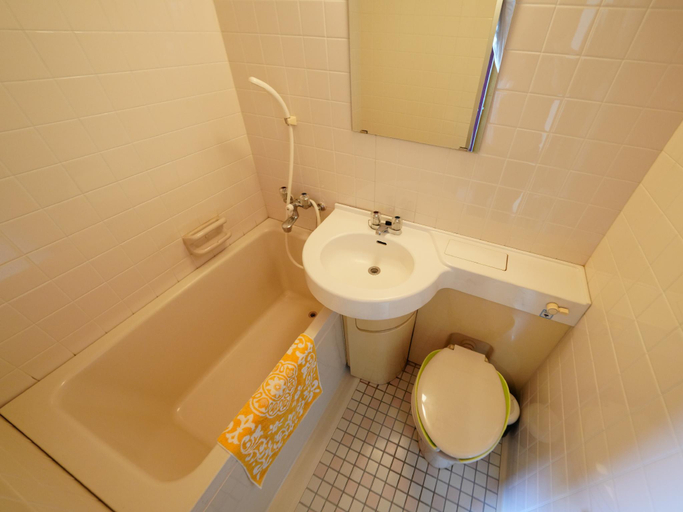Bathroom 4, hosonokan, Hakuba