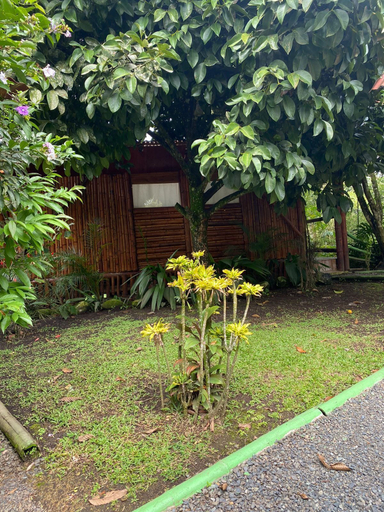 Others 5, Eco Cabañas Green Eden, Pereira