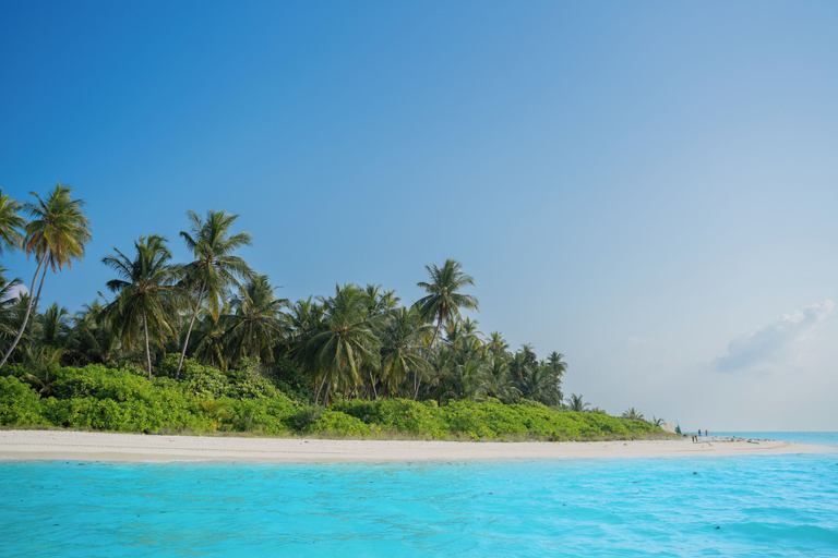 Others 5, Coral Pearl, Lakshadweep - IHCL SeleQtions, Lakshadweep